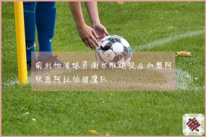 前利物浦球员谢尔维退役后加盟阿联酋阿拉伯猎鹰队