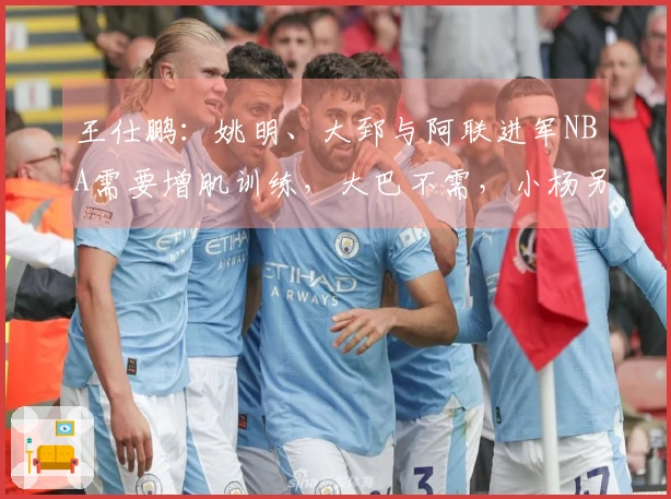 王仕鹏：姚明、大郅与阿联进军NBA需要增肌训练，大巴不需，小杨另有安排。